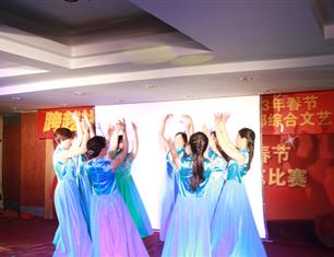 跨越祥和，超越自我—2013春節(jié)聯(lián)歡--財務(wù)處